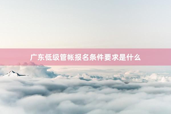 广东低级管帐报名条件要求是什么