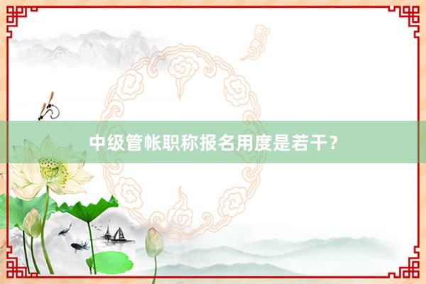 中级管帐职称报名用度是若干？