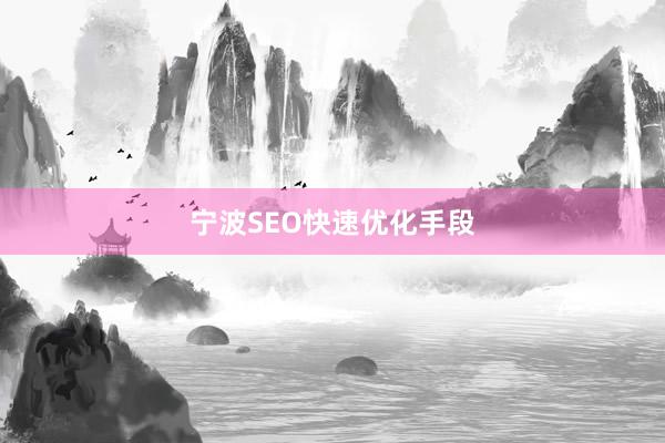 宁波SEO快速优化手段