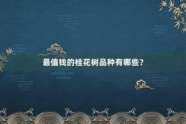 最值钱的桂花树品种有哪些？