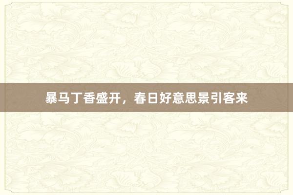 暴马丁香盛开，春日好意思景引客来