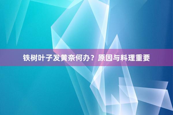 铁树叶子发黄奈何办?原因与料理重要